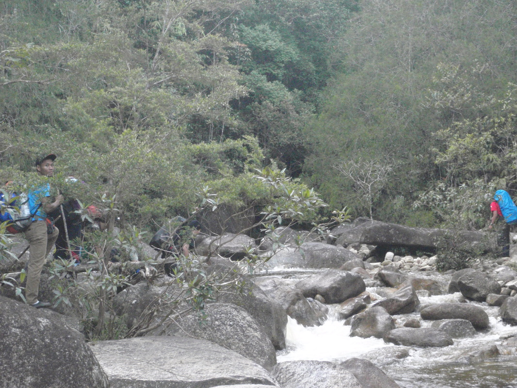Image result for mendaki gunung rajah